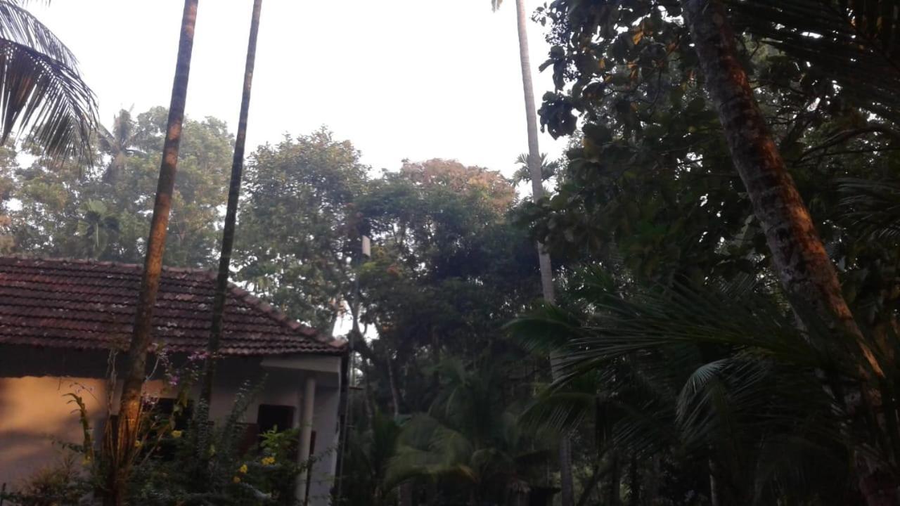 Marari Greenland Homestay Mararikulam Exterior photo